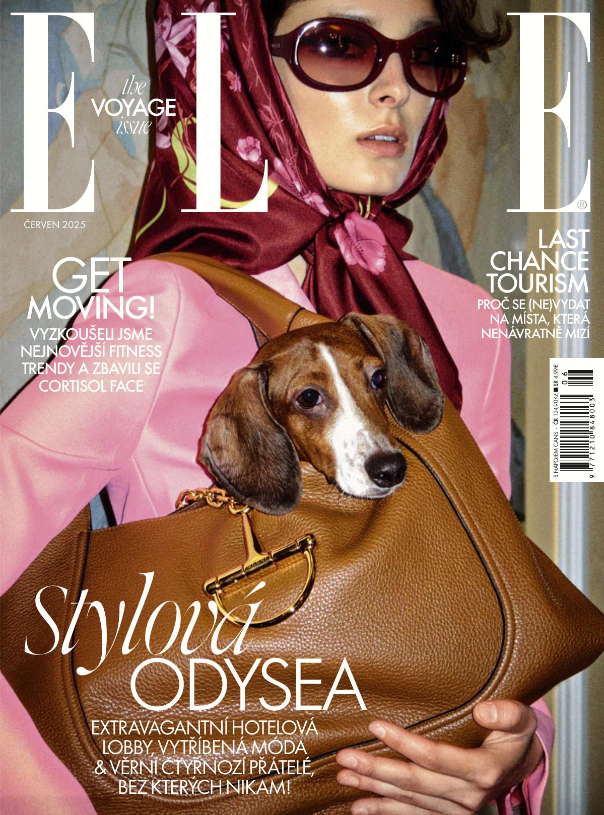 ELLE 6-20265 A